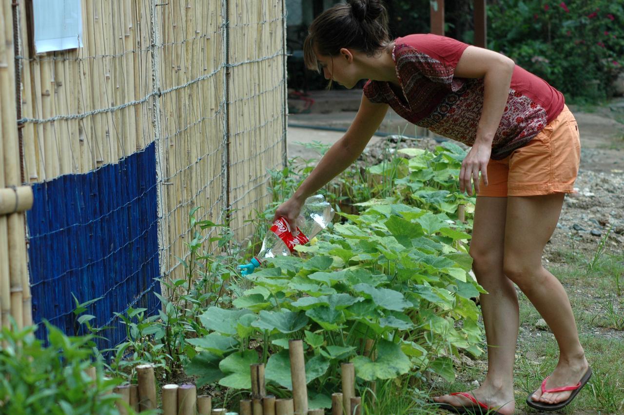 Treffpunkt 5300 Hostel Puerto Princesa Ngoại thất bức ảnh